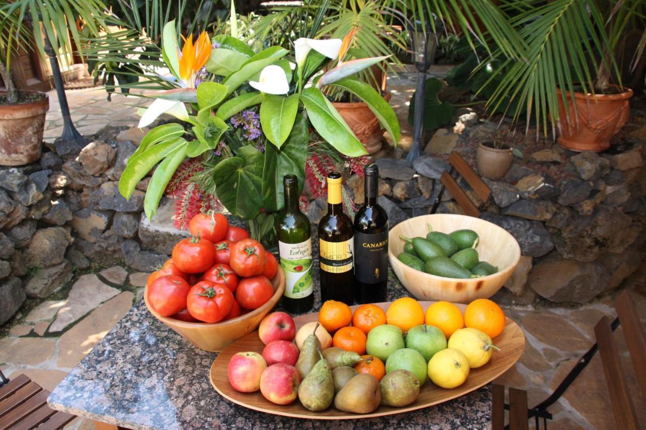Cabana Ecologica 拉奥罗塔瓦 外观 照片